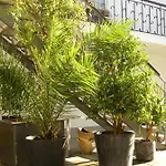 Gartenstrasse 3 Apartmán